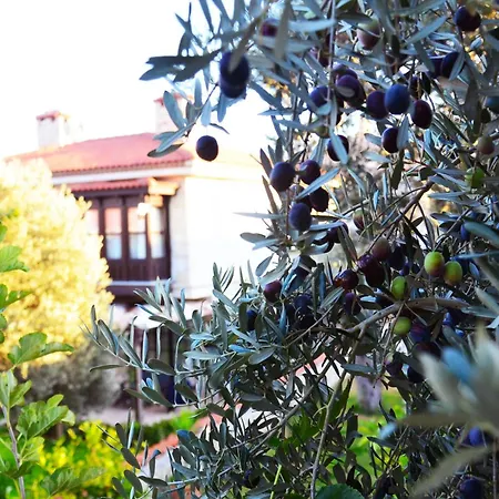 Imren - Special Category Alaçatı