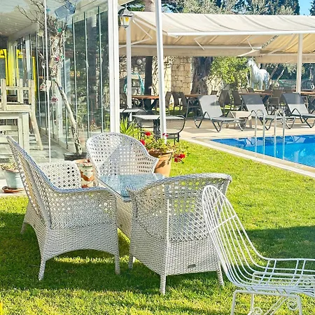 Hotel Imren - Special Category