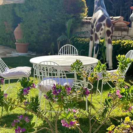 Imren - Special Category Hotell