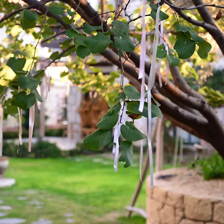 Imren - Special Category