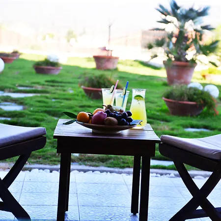 Imren - Special Category