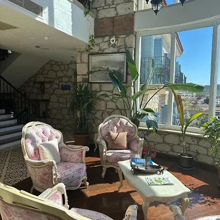 Imren - Special Category אלאקאטי