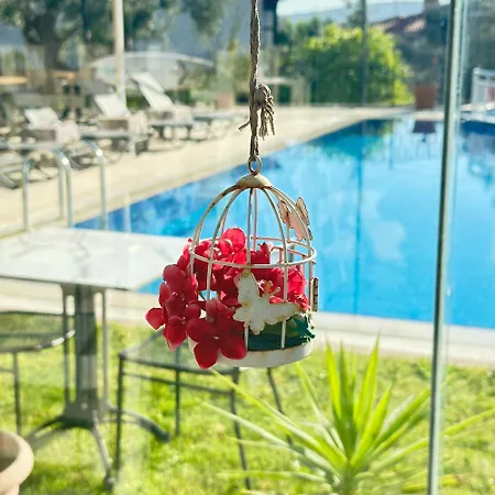 Imren - Special Category 4* Alaçatı